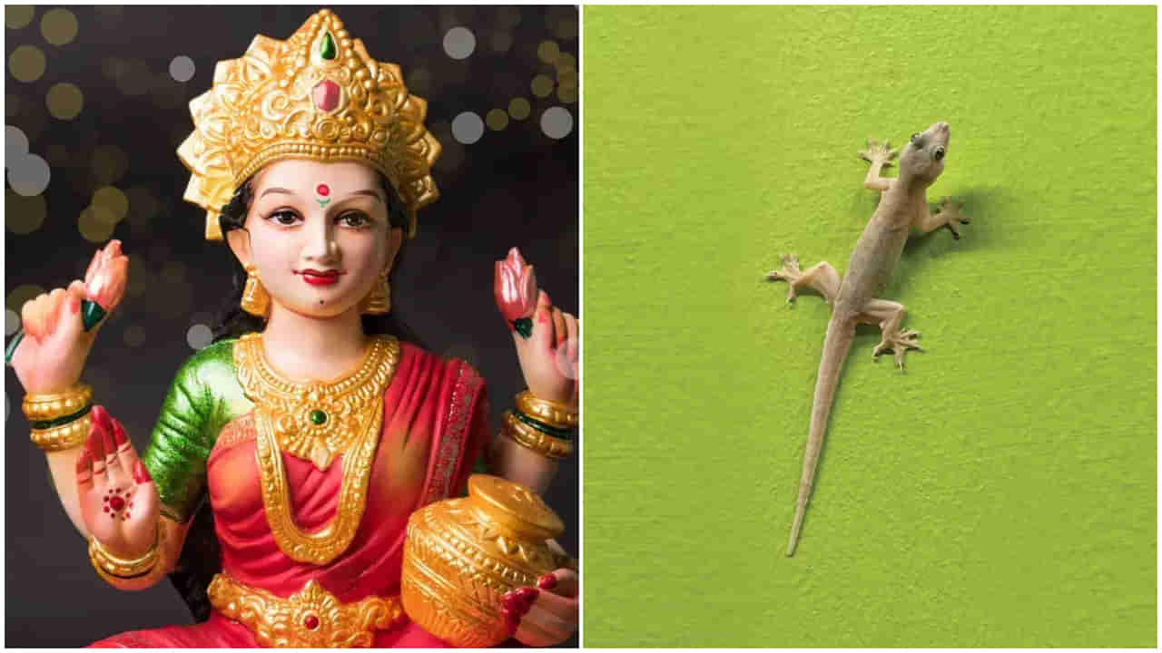 Pooja Room: దేవుడి గదిలో బల్లులు తిరగడం మంచిదేనా? దీని వెనక సంకేతం ఇదే !