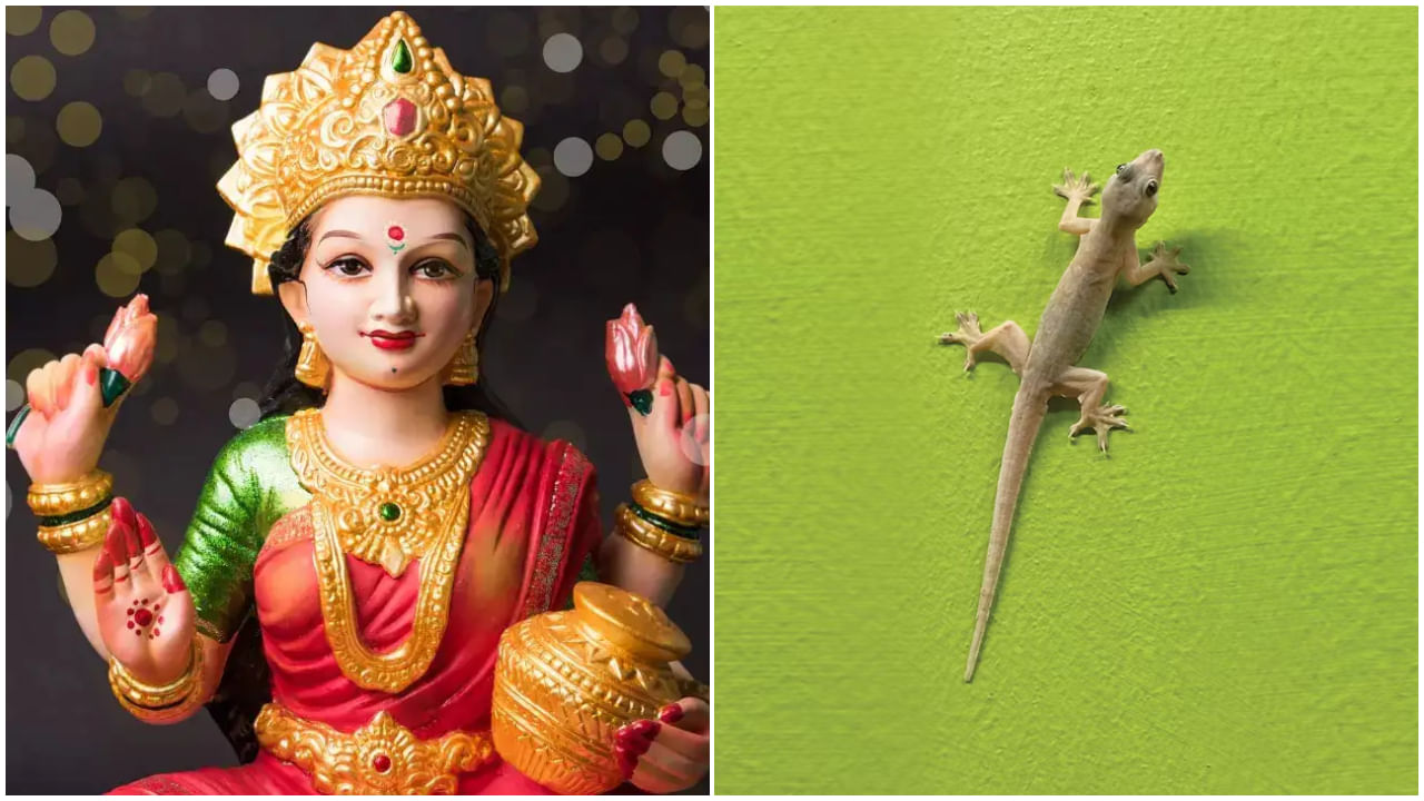 Pooja Room: దేవుడి గదిలో బల్లులు తిరగడం మంచిదేనా? దీని వెనక సంకేతం ఇదే !