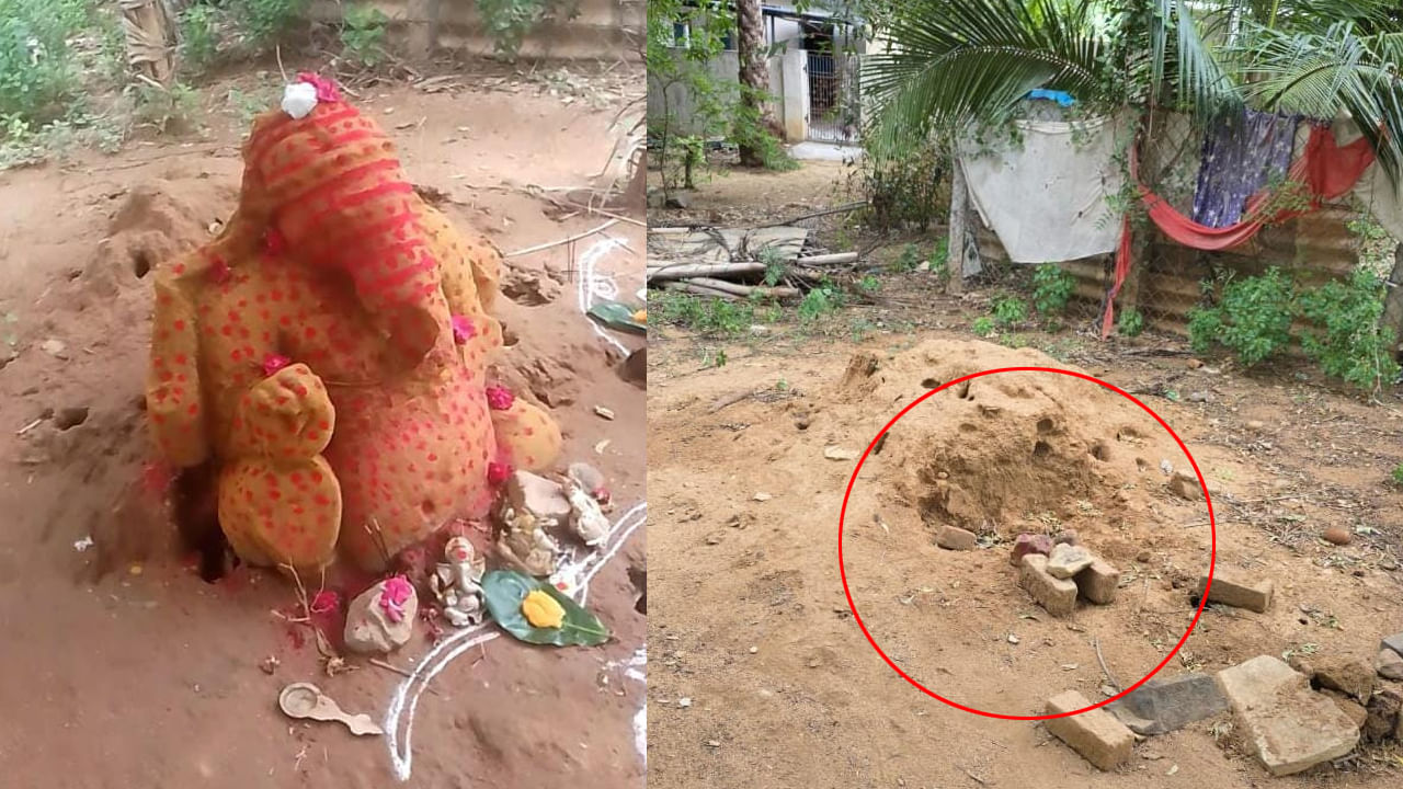 Andhra: 30 ఏళ్లుగా పుట్ట పక్కనే ఉంటున్న విగ్రహం - మొన్న పొద్దుపొడిచేసరికి.. అకస్మాత్తుగా