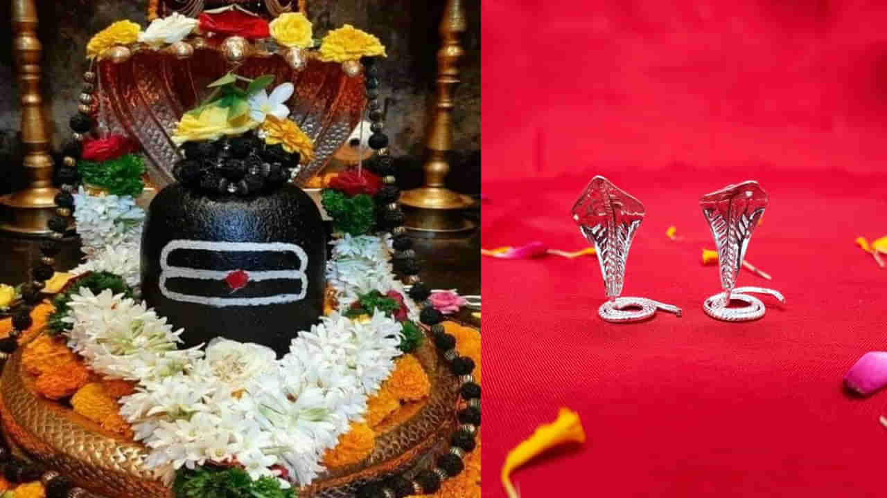 కాలసర్ప దోషంతో ఇబ్బంది పడుతున్నారా.. శ్రావణ మాసంలో శివయ్యకు జంట సర్పాలను సమర్పించండి..