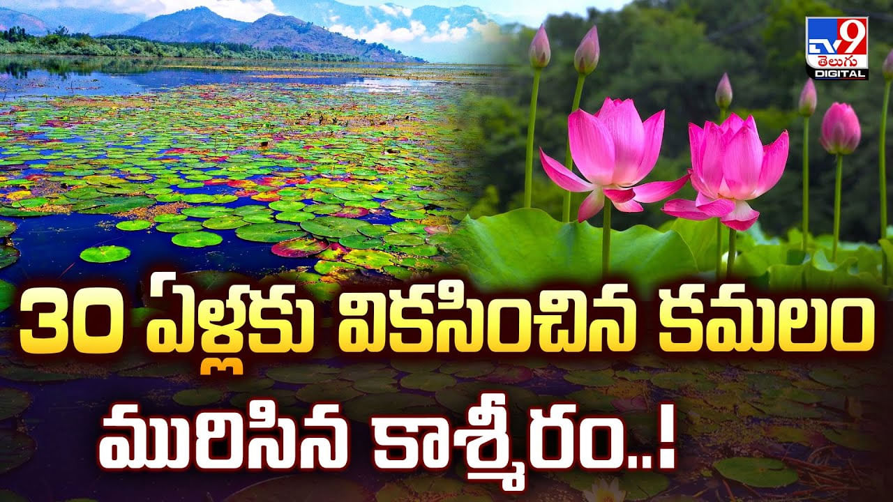 30 ఏళ్లకు వికసించిన కమలం మురిసిన కాశ్మీరం