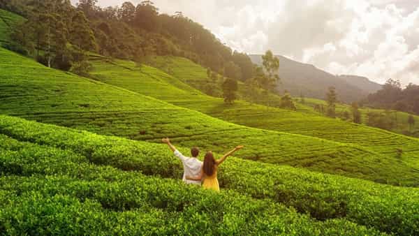 Real Love: ప్రేమ రహస్యం.. ఈ చిట్కాలతో వారి మనసు గెలవండి..!
