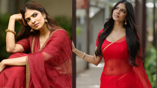 17 ఏళ్లకే స్టార్ హీరోయిన్.. 23 ఏళ్లకే పోలీసులకుదొరికింది.. దెబ్బకు కెరీర్ క్లోజ్…