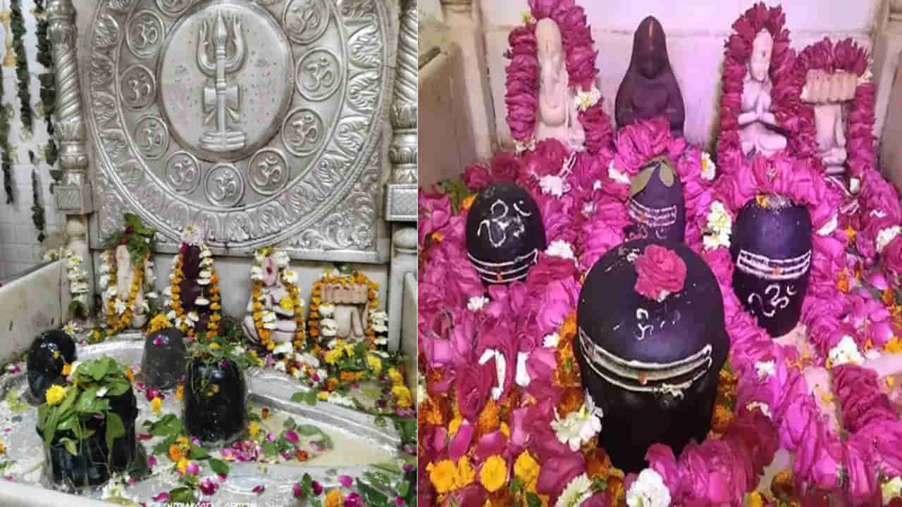 బ్రహ్మ ప్రతిష్టించిన శివలింగం.. వనవాస సమయంలో శ్రీ రాముడే స్వయంగా పూజించిన ఆలయం ఎక్కడంటే..