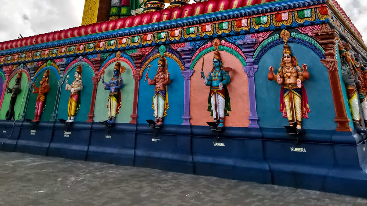 హరి హర దేవస్థానం ఆలయం బ్రిటిష్ వలస పాలన కాలంలో మారిషస్కు వచ్చిన భారతీయ వలసదారుల భక్తి ఫలం. ఈ ఒప్పంద కార్మికులు, ప్రధానంగా దక్షిణ భారతదేశం, బీహార్ నుంచి తమ మతపరమైన సంప్రదాయాలను తీసుకువచ్చారు. క్రమంగా తమ ఆధ్యాత్మిక వారసత్వాన్ని కాపాడుకోవడానికి ప్రార్థనా స్థలాలను స్థాపించారు.