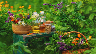 Liver Health: కాలేయాన్ని గుల్ల చేసే డేంజరస్ వ్యాధి.. ఈ 8 సూపర్ ఫుడ్స్‌తో చెక్