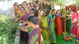 Watch Video: ప్లాస్టిక్‌ నిర్మూలనపై వినూత్న ప్రచారం.. ప్రభుత్వ ఉద్యోగి ఏం చేశాడో చూడండి..