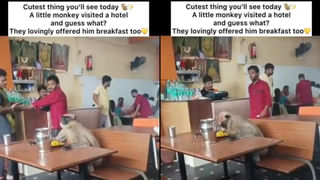 Watch: బ్రిడ్జి కింది నుంచి వెళ్తుండగా ఊడిన డబుల్‌ డెక్కర్‌ బస్సు పైకప్పు.. షాకింగ్‌ వీడియో వైరల్