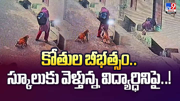 కోతుల బీభత్సం.. స్కూలుకు వెళ్తున్న విద్యార్ధినిపై వీడియో కోతుల బీభత్సం.. స్కూలుకు వెళ్తున్న విద్యార్ధినిపై వీడియో