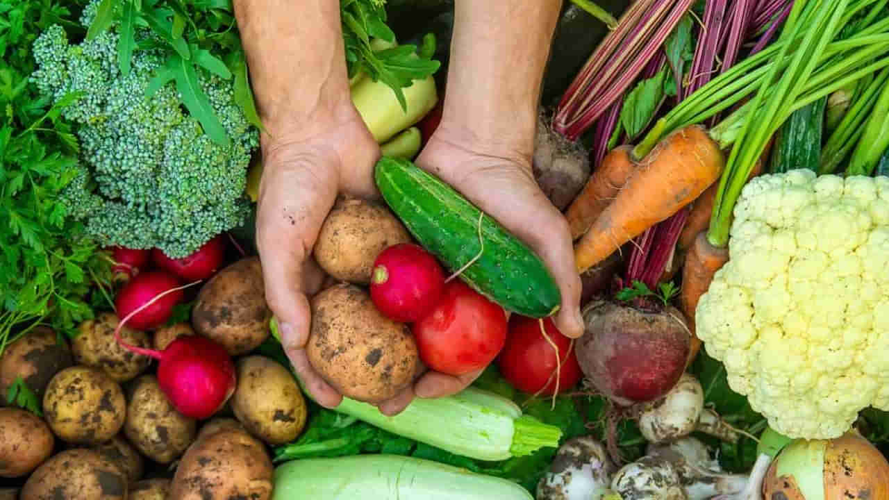 Monsoon Foods: వర్షాకాలంలో ఇవి తిన్నారంటే.. ఇక మీరు ఆస్పత్రి బెడ్డు ఎక్కాల్సిందే..
