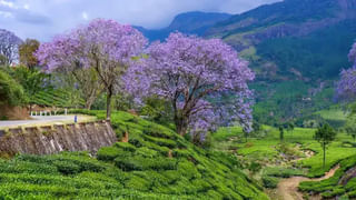 Jaipur Lakes: జైపూర్‎లోని ఈ 5 సరస్సులు హృదయాలను ఆకట్టుకుంటాయి.. కచ్చితంగా చూడాలి..