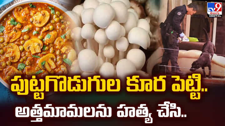 పుట్టగొడుగుల కూర పెట్టి.. అత్తమామలను హత్య చేసి వీడియో పుట్టగొడుగుల కూర పెట్టి.. అత్తమామలను హత్య చేసి వీడియో