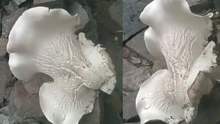 Andhra: వాతావరణ శాఖ మరోసారి హెచ్చరికలు.. ఏపీకి వచ్చే 3 రోజులు భారీ రెయిన్ అలెర్ట్