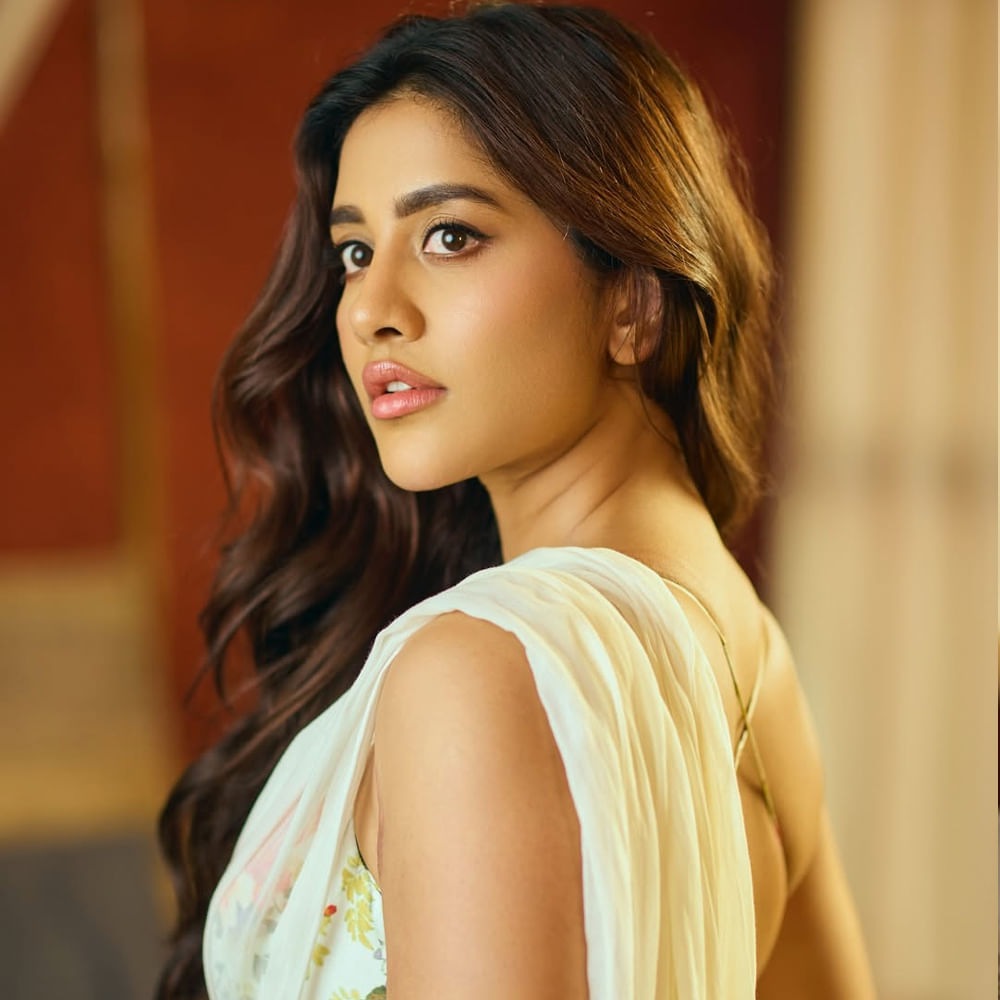 కెరీర్ మంచి ఫాంలో ఉండగానే యాక్సిడెంట్ జరగడంతో ఇండస్ట్రీకి దూరమైపోయింది. ఇప్పుడు వరుస సినిమాలతో అలరిస్తుంది. ప్రస్తుతం నిఖిల్ సరసన స్వయంభు చిత్రంలో నటిస్తుంది. ఇందులో సంయుక్త మీనన్ కథానాయికగా నటిస్తుంది. ఈ సినిమా తప్ప మరో సినిమా లేదు.