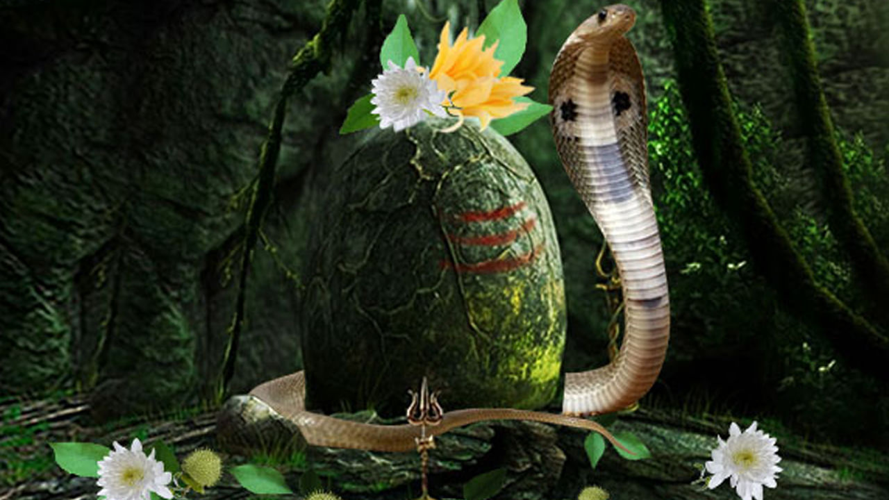 Nag Panchami 2025: ఎవరైనా కాల సర్ప దోషంతో ఇబ్బంది పడుతున్నారా..! నాగపంచమి రోజున ఈ పరిహారాలు చేయడం ఫలవంతం..