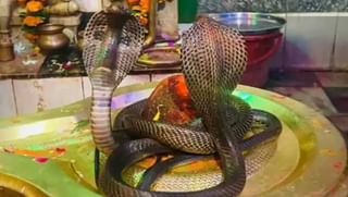 Andhra Pradesh: 2 కిలోల పులసకు రూ.26వేలు… యానాంలో మరోసారి రికార్డు ధర పలికిన పులస చేప