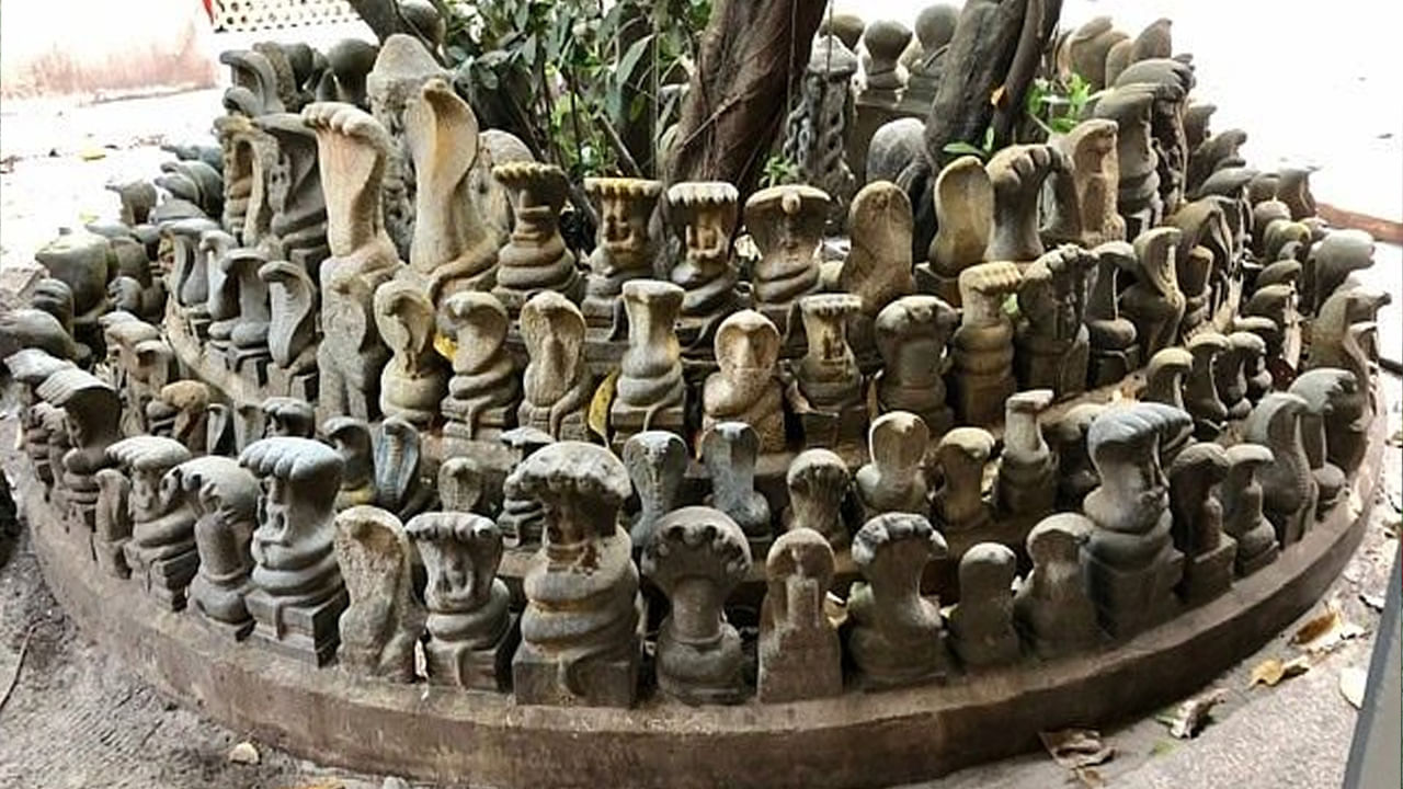 కేరళలోని హరిపాడు అటవీ ప్రాంతంలో నెలకొని ఉన్న మన్నరసాల శ్రీ నాగరాజ దేవాలయం కూడా ప్రసిద్ధి చెందిన నాగదేవతాలయం. ఇక్కడ వేల సంఖయలో జంట నాగుల ప్రతిమలు  30,000 కంటే ఎక్కువ  ఉన్నాయి. ఇక్కడ పూజారిగా ఓ మహిళ ఉంటుంది. ఈ ఆలయంలో పూజలు చేయడం వలన కాలసర్పదోషాలు తొలగిపోతాయట. నాగ పంచమి రోజున ఈ ఆలయాన్ని సందర్శించడం వల్ల పిల్లలు లేని దంపతులకు సంతానం కలుగుతుందని నమ్ముతారు.