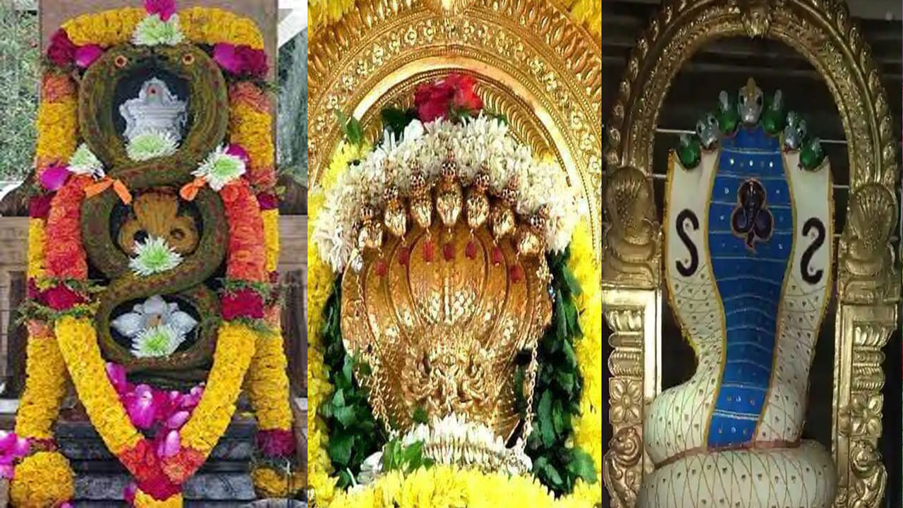  
శ్రావణ మాసంలోని శుక్ల పక్షం పంచమి తితిని నాగపంచమిగా జరుపుకుంటారు. హరిహరులతో పాటు సుబ్రహ్మణ్యుడికి ఇష్టమైన సర్పాలను ఈ రోజున పూజించడం వలన కాల సర్పదోషం తొలగిపోతుందని నమ్మకం. అంతేకాదు నాగ పంచమి రోజు పుట్టలో పాలు పోసి నాగేంద్రుడిని తమ కుటుంబాన్ని సుఖ సంతోషాలతో జీవించే విధంగా చూడమని కోరుకుంటారు. మన దేశంలో శివ, గణపతి, హనుమాన్, అమ్మవారి సహా అనేక దేవీ దేవతల ఆలయాలతో పాటు నాగదేవత ఆలయాలు ఉన్నాయి. వీటిలో ఏ ఒక్క ఆలయాన్ని దర్శించుకున్న సుభ్రమన్యస్వామి అనుగ్రహం మీ సొంతం అంతేకాదు నాగుల దయతో నాగ దోషం, కాలసర్పదోషాల నుంచి ఉపశమనం కలిగే అవకాశం ఉంది. 
