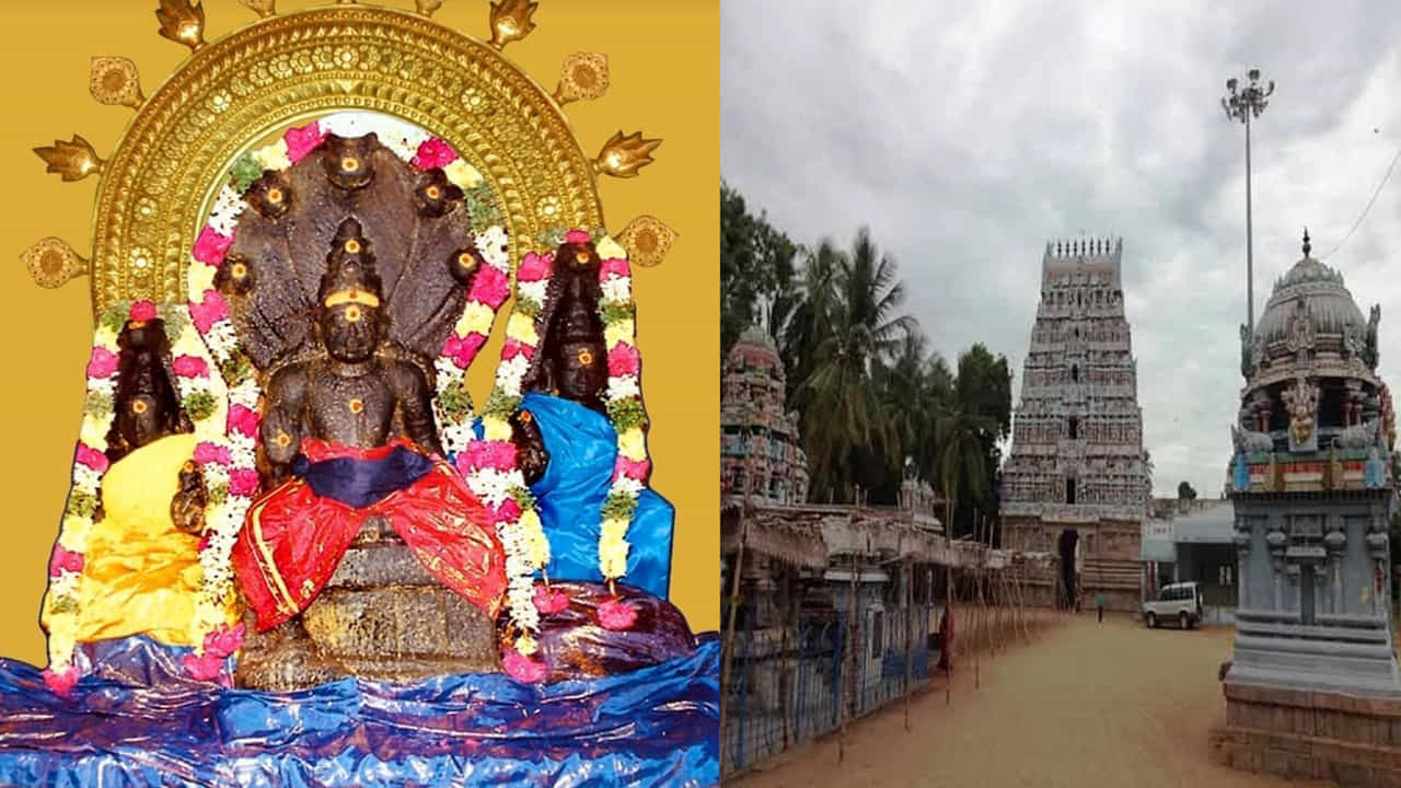 తమిళనాడులోని కుంభకోణం సమీపంలో తిరునాగేశ్వరం అనే గ్రామంలో శివునికి అంకితం చేయబడిన ఆలయం ఉంది. దీనిని నాగనాథర ఆలయం రాహు స్తలం అని కూడా పిలుస్తారు. ఈ ఆలయాన్ని 7 వ శతాబ్దంలో నిర్మించారని చరిత్ర ద్వారా తెలుస్తుంది. ఈ ఆలయంలో అనేక ఉపాలయాలున్నాయి. ఇందులో నాగనాథర, రాహు, పిరైసూడి అమ్మన్ అత్యంత ప్రముఖమైనవి.  
 