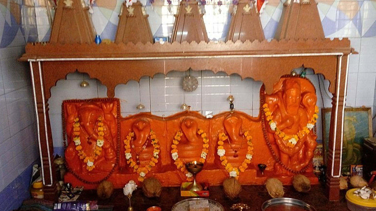 గుజరాత్‌లోని కచ్ జిల్లాలో భుజ్ పట్టణంలో ఉన్న ఒక కొండపై నిర్మించిన భుజియా కోట పట్టణానికి అభిముఖంగా ఉంది. ఇక్కడ గుహాలో ప్రసిద్ధమైన నాగ ఆలయం ఉంది.  ఇక్కడ ఆలయంకు వెళ్లడం ఎంతో సాహాసంతో కూడుకున్నదని చెప్పవచ్చు.