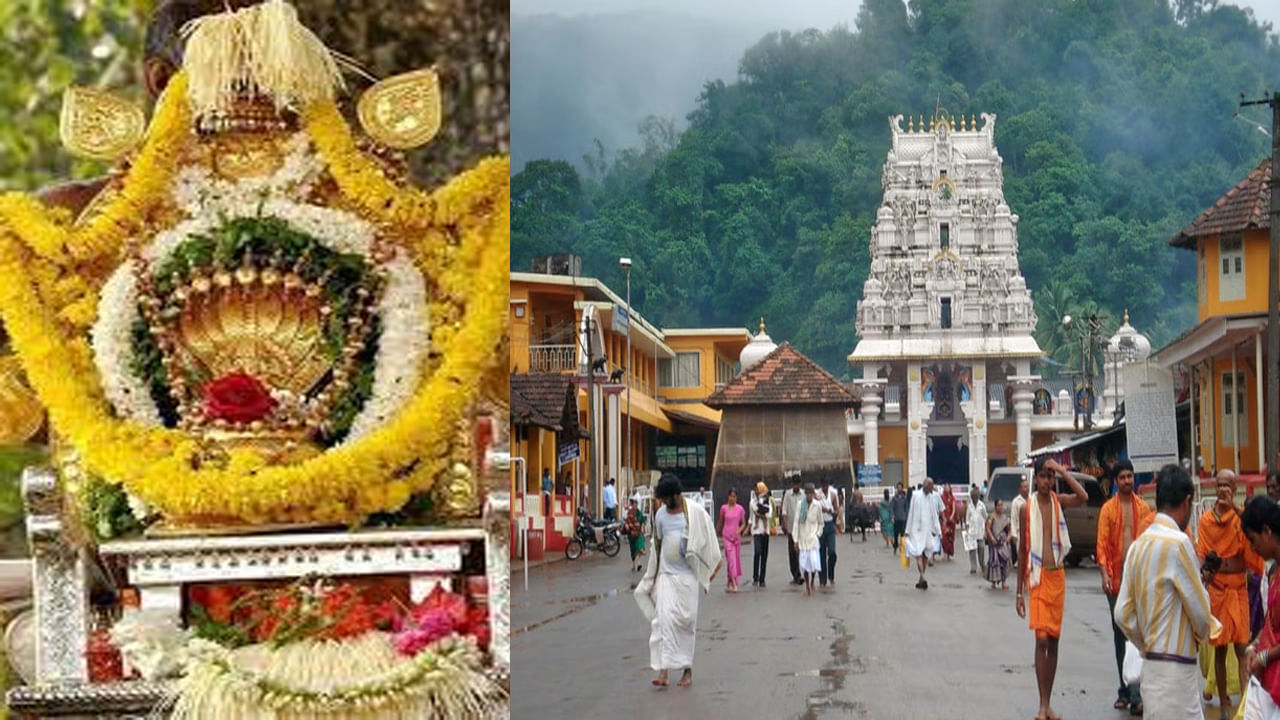 దక్షిణ కన్నడ జిల్లాలో ఉన్న కుక్కే సుబ్రమణ్య స్వామి ఆలయం సుబ్రహ్మణ్య స్వామి భక్తులకు అత్యంత పవిత్ర క్షేత్రంగా భావిస్తారు. ఇక్కడ సుభ్రమణ్య స్వామి స్వయంభూగా వెలిసాడని నమ్మకం. వాసుకి సహా ఇతర సర్పాలు గరుడుడి బారిన పడినప్పుడు ఆ సర్పాలు సుబ్రహ్మణ్యుని దగ్గర ఆశ్రయం పొందాయని ఇతిహాసాలు చెబుతున్నాయి. ఈ ఆలయం కాలసర్పదోష నివారణకు ప్రసిద్ధిగాంచింది. 
