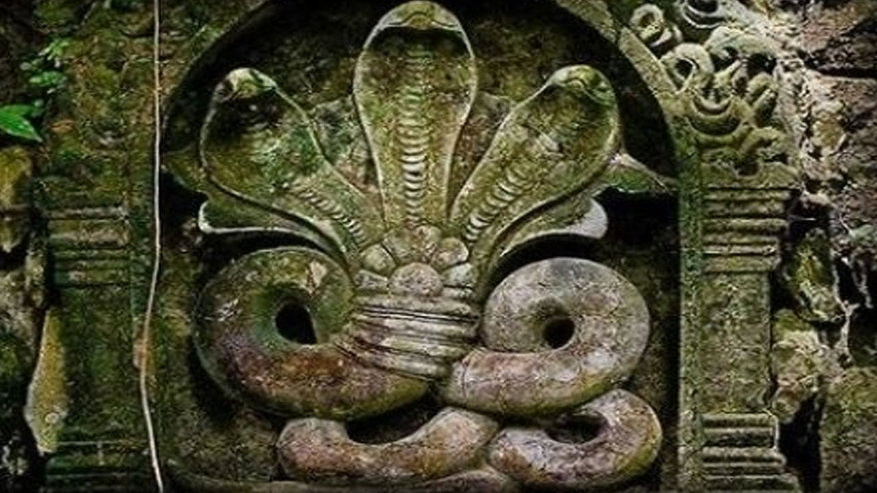 తమిళనాడులో నాగరాజ ఆలయం ఉంది. దీనిని 12 వ శతాబ్దంలో నిర్మించారని శాసనాల ద్వారా తెలుస్తుంది. ఈ ఆలయంలో మూడు పుణ్యక్షేత్రాలు ఉన్నాయి. పురాతన  ప్రధాన మందిరంలో ప్రధాన దైవంగా  నాగరాజు పూజలను అందుకుంటున్నాడు. రెండవ మందిరం రుక్మిణి, సత్యభామలతో కూడిన అనంత కృష్ణ (చుట్టిన పాముపై నృత్యం చేస్తున్న శిశువు కృష్ణుడు )కి అంకితం చేయబడింది. మూడవ మందిరం శివునికి అంకితం చేయబడింది.