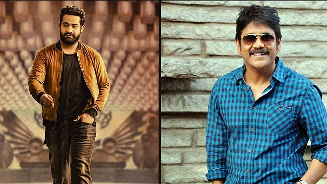 చిత్ర పరిశ్రమలో మల్టీస్టారర్ హవా కొనసాగుతుంది. ప్రస్తుతం స్టార్ హీరోలు ఒకే సినిమాలో నటిస్తూ తమ అభిమానులను ఎంర్టైన్ చేస్తున్నారు. ఇక గతంలో కూడా చాలా మంది స్టార్ హీరోలు మల్టీస్టార్ గా నటించి మంచి క్రేజీతో పాటు బ్లాక్ బస్టర్ హిట్స్ అందుకున్నారు. అయితే ఈ మధ్య నాగార్జున, ధనుష్ కాంబోలో వచ్చిన కుభేర మూవీ సూపర్ హిట్ అందుకుంది. ఈ క్రమంలోనే ఓ ఇంట్రెస్టింగ్ న్యూస్ నెట్టింట తెగ వైరల్ అవుతుంది. అది ఏమిటంటే? నాగార్జున జూనియర్ ఎన్టీ ఆర్ కాంబినేషన్‌లో ఓ క్రేజీ మూవీ మిస్సైందంట