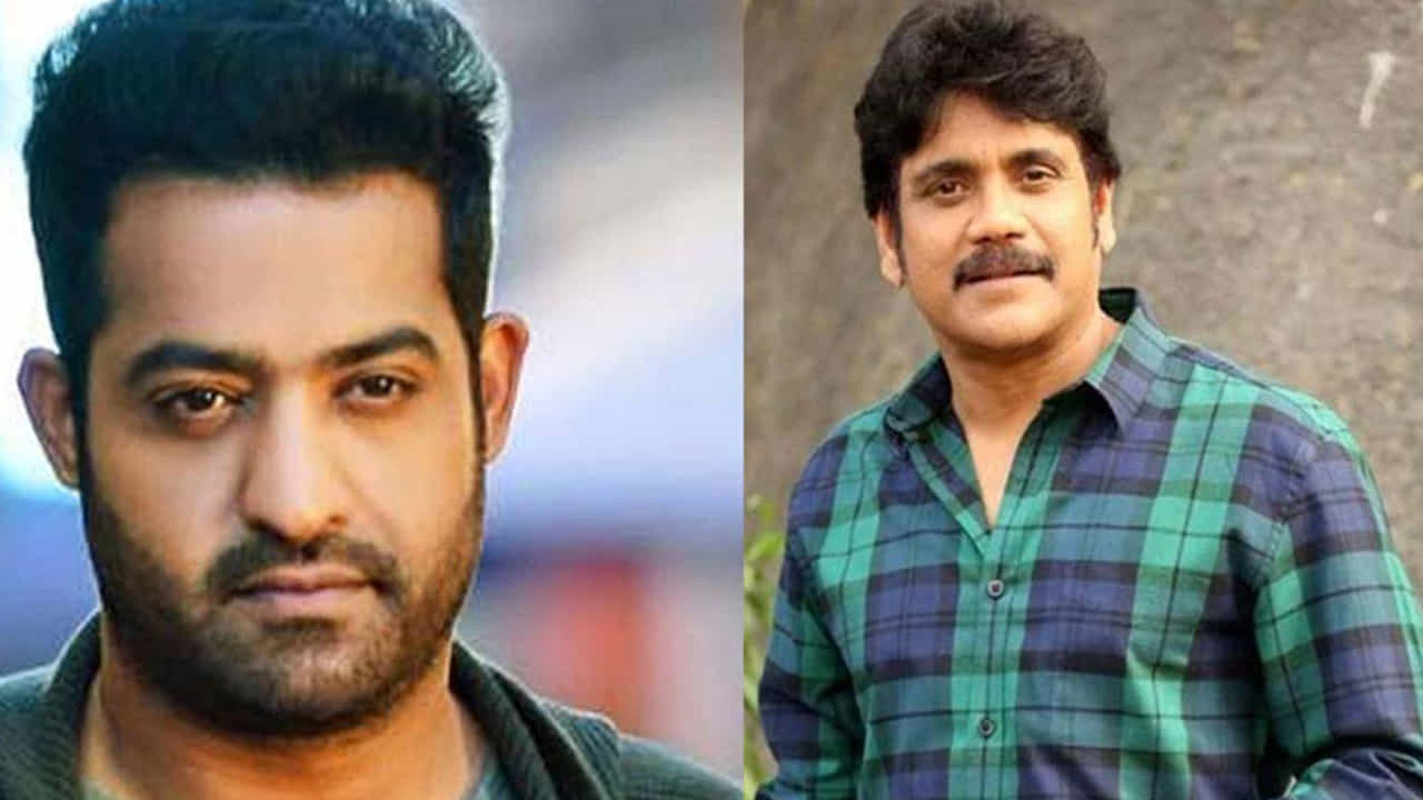 నాగార్జు చాలా మల్టీస్టారర్ సినిమాల్లో నటించారు. ఈయన నటించిన మల్టీస్టార్ సినిమాలన్నీ చాలా వరకు బ్లాక్ బస్టర్ హిట్ అయ్యాయి. అయితే టాలీవుడ్ లో బ్లాక్ బస్టర్ హిట్ అందుకున్న ఓ సినిమాలో నాగార్జు, తారక్ నటించాల్సి ఉండేదంట. కానీ కొన్ని కారణాల వలన ఆ సినిమా మిస్సై ఫ్యాన్స్కు నిరాశను గురి చేసిందంట. ఇంతకీ ఆ మూవీ ఏది అనుకుంటున్నారా?