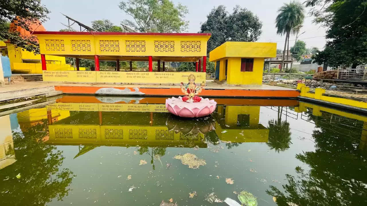 నైమిశారణ్యలో తప్పక సందర్శించవలసిన కొన్ని పవిత్ర స్థలాలు ఇక్కడ ఉన్నాయి. అవే చక్ర తీర్థం, వ్యాస్ గడ్డి, శ్రీ లలితా దేవి ఆలయం, బాలాజీ దేవాలయం, దధీచి కుండ్, సుత్ గడ్డి, పాండవ్ కిల్లా, దశాశ్వమేధ ఘాట్. ఈ ఆలయలు దర్శనం సమయం విషయానికి వస్తే ఉదయం 5 గంటల నుండి రాత్రి 9 గంటల వరకు మధ్యాహ్నం 12 గంటల నుండి సాయంత్రం 4 గంటల వరకు ఆలయలు మూసివేయబడి ఉంటుంది.