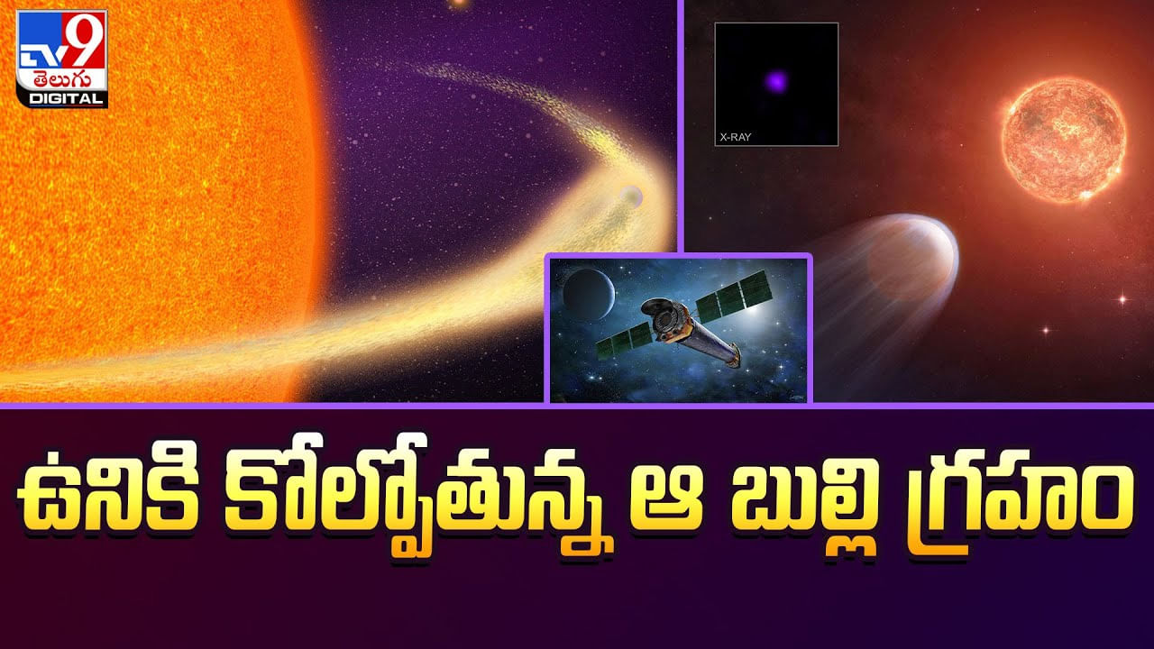 తాజా వార్తలు