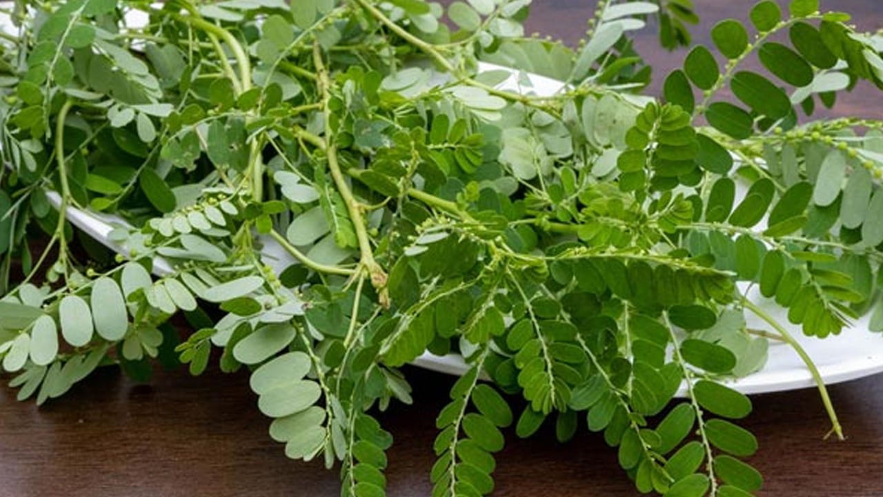 దీనిలో ఫైబర్ అధికంగా ఉండటం జీర్ణక్రియను మెరుగుపడుతుంది. మలబద్ధకాన్ని తగ్గిస్తుంది. యాంటీఆక్సిడెంట్లు, ఫైబర్ రక్తపోటును నియంత్రిస్తాయి. గుండె జబ్బుల ప్రమాదాన్ని తగ్గిస్తాయి. 
