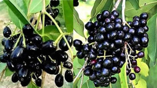 పొద్దున్నే నిద్ర లేచి నీళ్లు తాగుతున్నారా..? అయితే ఈ విషయాలు తప్పక తెలుసుకోండి..