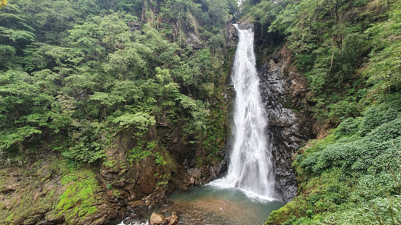 నేత్రావళి వన్యప్రాణుల అభయారణ్యం: ఈ ప్రదేశం దక్షిణ గోవాలో ఉంది. అడవులు, ప్రవాహాలతో నిండి ఉన్న అద్భుతధామం. నేత్రావళి బబుల్ సరస్సు అనేది సహజంగా నీటి బుడగలు వచ్చే ఆహ్లాదకరమైన ప్రదేశం. ఇది ప్రశాంతమైన యాత్రకు ప్రశాంతమైన ప్రదేశం.