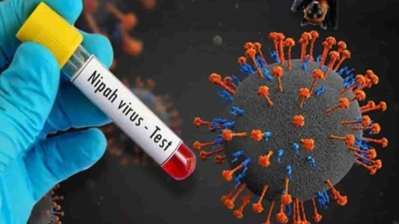 Nipha Virus: మరోసారి నిఫా వైరస్‌ కలకలం... ఆ ఆరు జిల్లాలకు హై అలర్ట్‌ జారీ