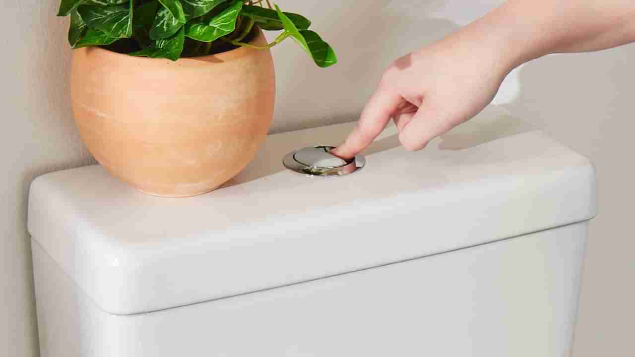 రాత్రి 10 దాటాక టాయిలెట్ ఫ్లష్ చేస్తే చిక్కులే.. ఇది ఎక్కడో తెలుసా..?