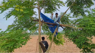 ఎవర్రా మీరంతా..! చేతులు పడగొట్టాలా? లేక ప్రాణమే తీయాలా? విడాకుల కోసం క్షుద్ర పూజలు..