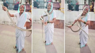 వార్నీ ఇదెక్కడి విడ్డూరం.. కుక్కకు రెసిడెన్స్ సర్టిఫికెట్ జారీ చేసిన అధికారులు.. నెట్టింట వైరల్‌