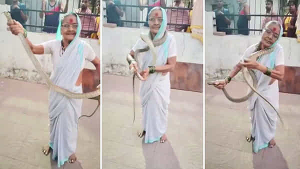 Viral Video: 70 ఏళ్ల వృద్దురాలి గట్స్కు నెటిజన్స్ ఫిదా... పామును పట్టి...మెడలో చుట్టుకున్న బామ్మ వీడియో వైరల్