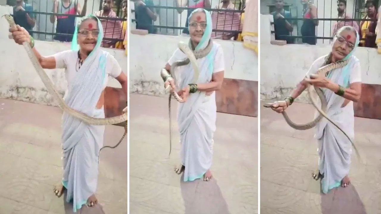 Viral Video: 70 ఏళ్ల వృద్దురాలి గట్స్‌కు నెటిజన్స్‌ ఫిదా... పామును పట్టి...మెడలో చుట్టుకున్న బామ్మ వీడియో వైరల్‌