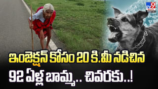 800 బాటిళ్ల మద్యాన్ని ఎలుకలు తాగేసాయా? వీడియో