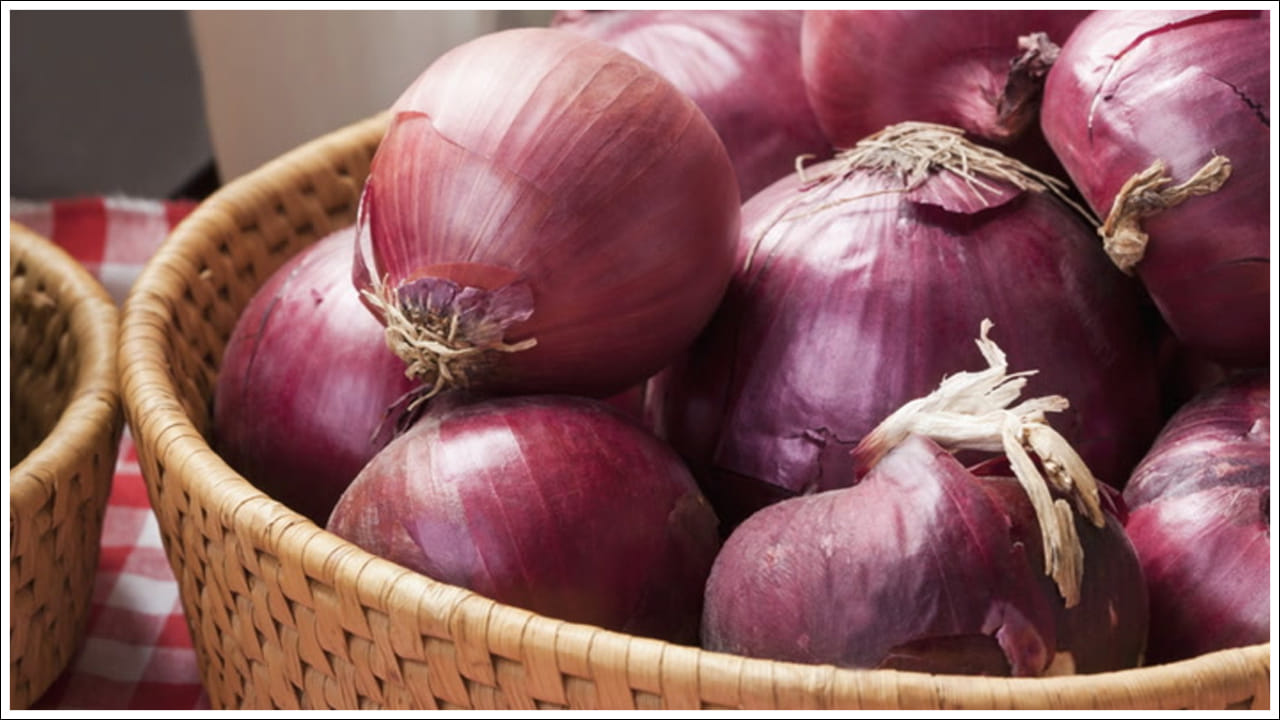 Onion Storage Tips: ఉల్లిపాయలు ఎక్కువ కాలం తాజాగా ఉండటం లేదా? ఇలా చేయండి.. అద్భుతమైన ట్రిక్!