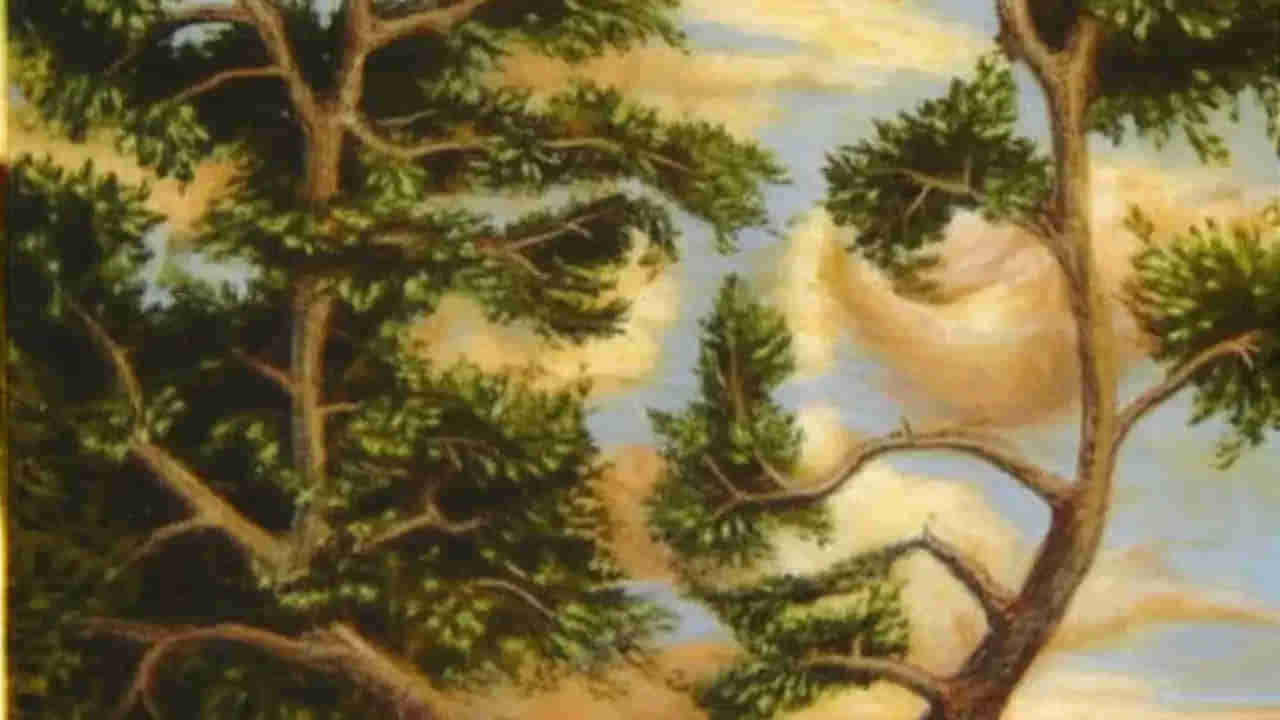 Personality Test: ముఖం లేదా చెట్టు ఈ చిత్రంలో మీరు చూసిందే మీ వ్యక్తిత్వం..తార్కిక వ్యక్తా లేదా భావోద్వేగ వ్యక్తా తెలుసుకోండి..