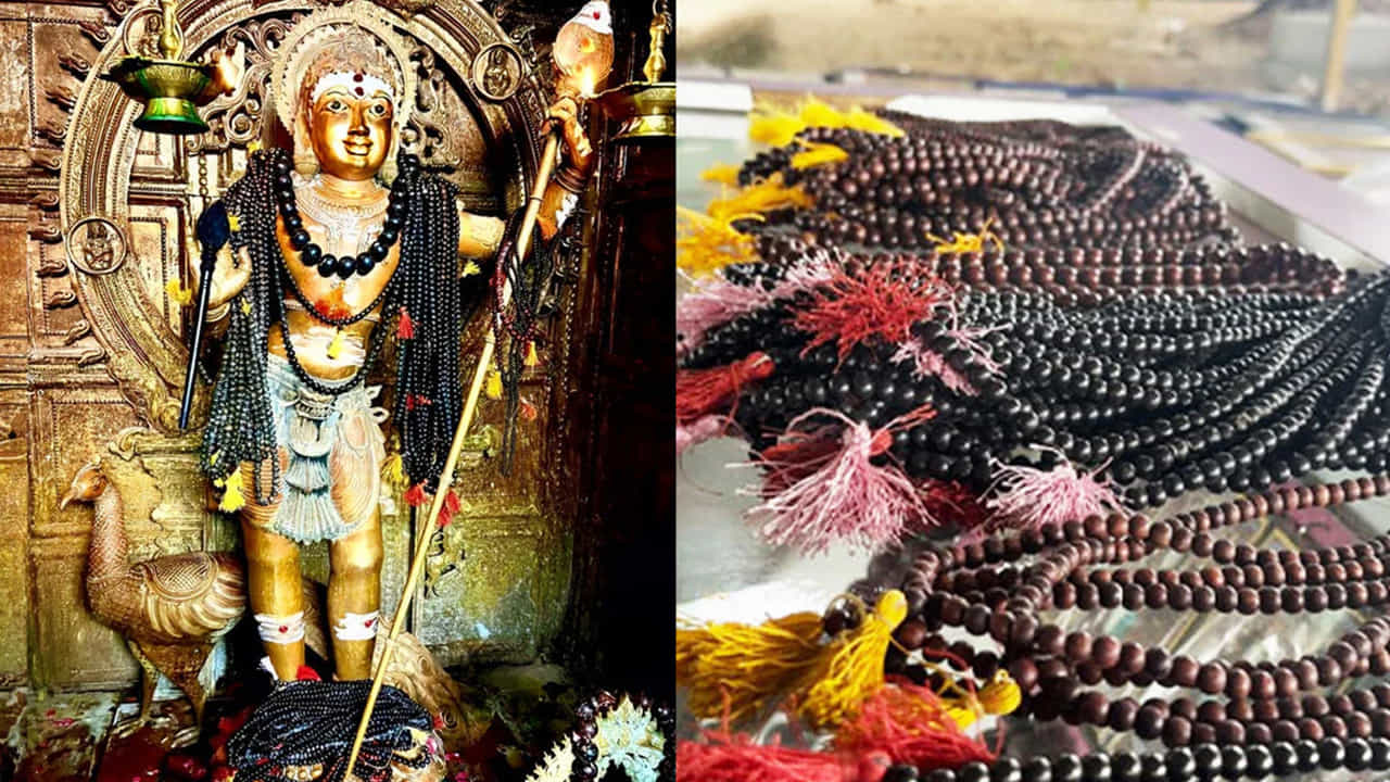 ఇది తమిళనాడులోని దిండిగల్ జిల్లా రామలింగంపట్టిలో ఉన్న పాతాళ సెంబు మురుగన్ దేవాలయంలో ఈ మాలను తీసుకోవచ్చు. ప్రస్తుతం సోషల్ మీడియా కరుంగాలి మాల హోమ్ డెలివరీ అంటూ చాలామంది ప్రమోషన్ చేస్తున్నారు. అయితే ఇవన్నీ నమ్మవద్దు మీకు ఈ మాల కావాలంటే దేవాలయంలో మాత్రమే తీసుకోవాలి. లేదంటే గుడి ఎవరైనా వెళ్తే వారితో తెప్పించుకోండి. సోషల్ మీడియా వచ్చనవి ఫేక్ మాలలని, వాటితో లాభాలు ఉండవని మురుగన్ ఆలయ సిబ్బంది అంటున్నారు.