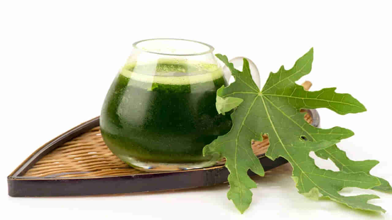 ఈ ఆకు సర్వరోగ నివారిణి.. దీని రసం కొంచెం తాగారంటే.. ఆ రోగాలన్నీ పరార్..