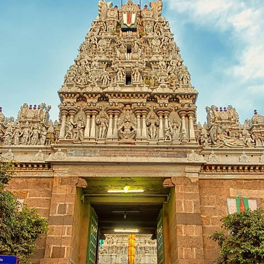 పార్థసారథి ఆలయం: ఎనిమిదవ శతాబ్దంలో పల్లవ రాజవంశం ఈ ఆలయాన్ని శ్రీకృష్ణుడికి అంకితం చేయడానికి నిర్మించారు.  ఆరోగ్యం మరియు అంతర్గత ప్రశాంతత కోసం వెతికే వారికి ఈ ఆలయం ఆకర్షిస్తుంది.