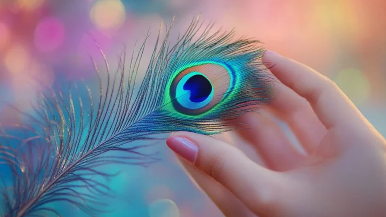 Peacock feather: నెమలి ఈక ఇంట్లో ఉంటే.. ఈ దోషాలన్నింటికి శాశ్వత పరిష్కారం..మీ సంపద అమాంతం పెరుగుతుంది!