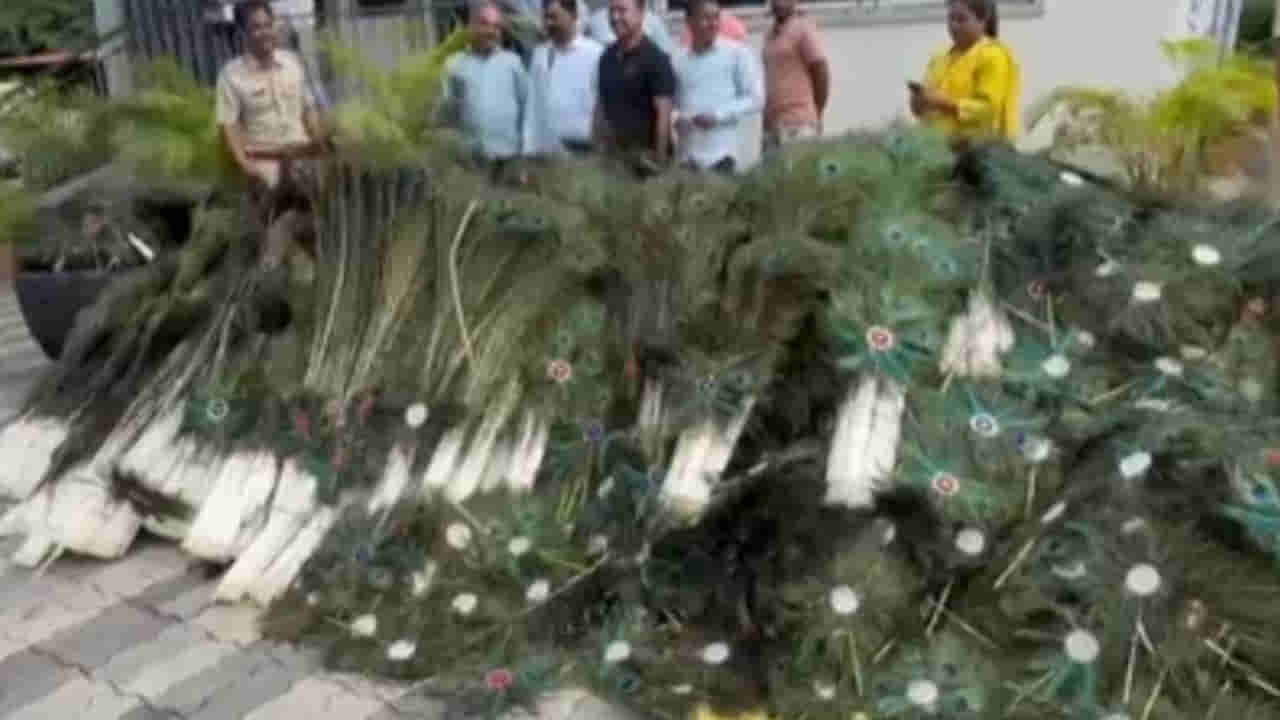 ఊరి బయట గోడౌన్‌పై అనుమానం..! అధికారుల తనిఖీల్లో కళ్లు బైర్లు కమ్మేలా..