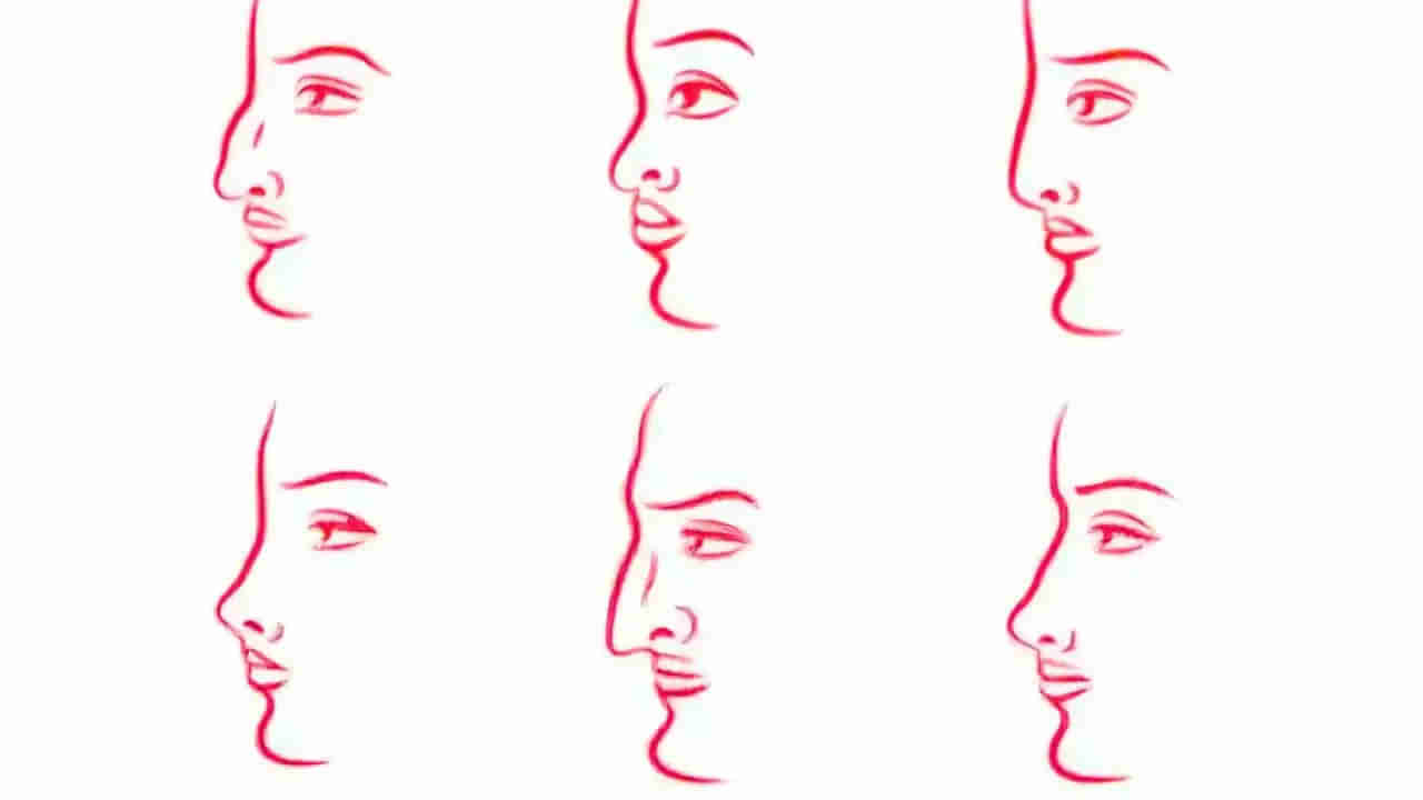 Personality Test: వ్యక్తిత్వాన్ని తెలియజేసే ముక్కు ఆకారం.. నిజాయితీపరులా, భావోద్వేగ వ్యక్తిలా తెలుసుకోండి..