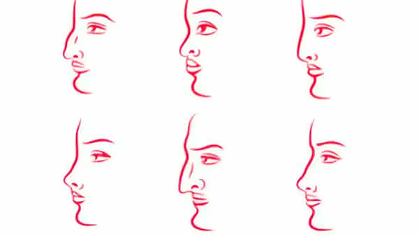 Personality Test: వ్యక్తిత్వాన్ని తెలియజేసే ముక్కు ఆకారం.. నిజాయితీపరులా, భావోద్వేగ వ్యక్తిలా తెలుసుకోండి..