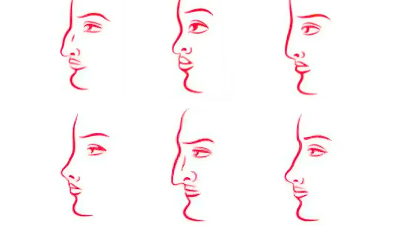 Personality Test: వ్యక్తిత్వాన్ని తెలియజేసే ముక్కు ఆకారం.. నిజాయితీపరులా, భావోద్వేగ వ్యక్తిలా తెలుసుకోండి..